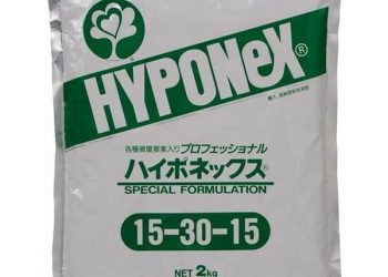 Hyponex 15-30-15 (10kg)